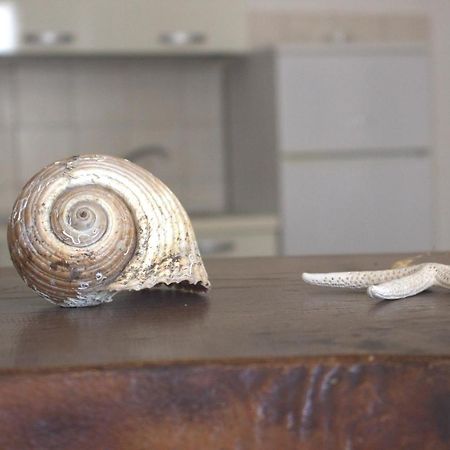Ferienwohnung Lido Dei Miracoli Lido Conchiglia Exterior foto